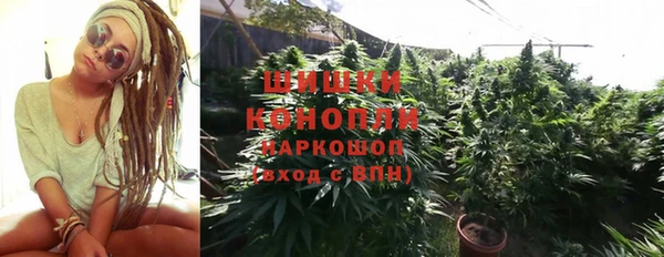 трава Бронницы