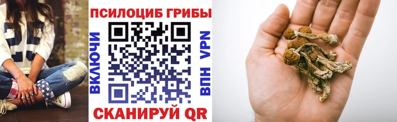 купить  сайты  Верхняя Тура  Галлюциногенные грибы Magic Shrooms 